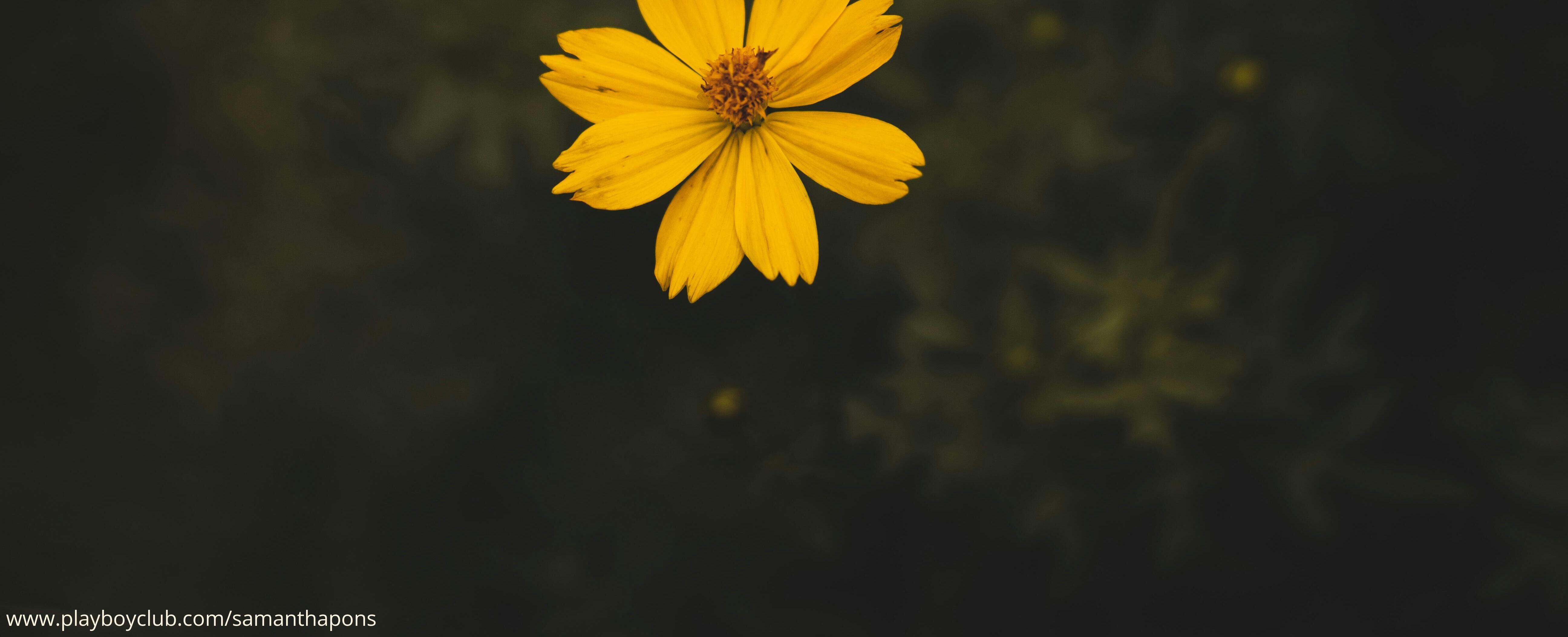 default cover